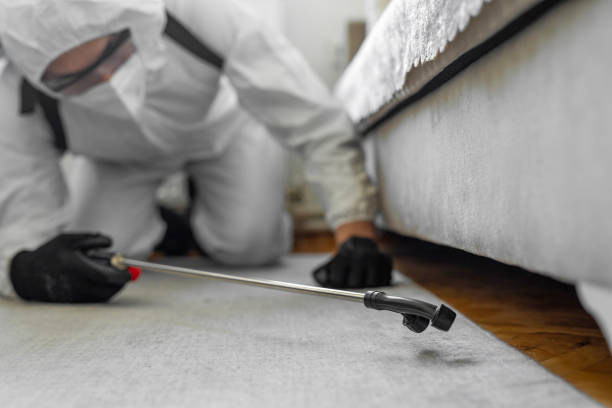 Professional Termite Control technician working in Questa, NM