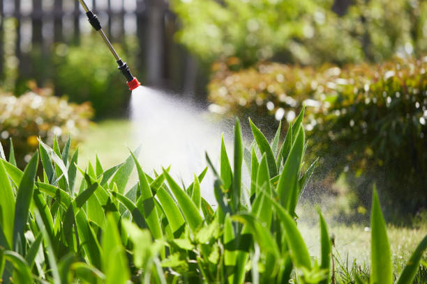 24/7 Emergency Termite Control experts in Questa, NM
